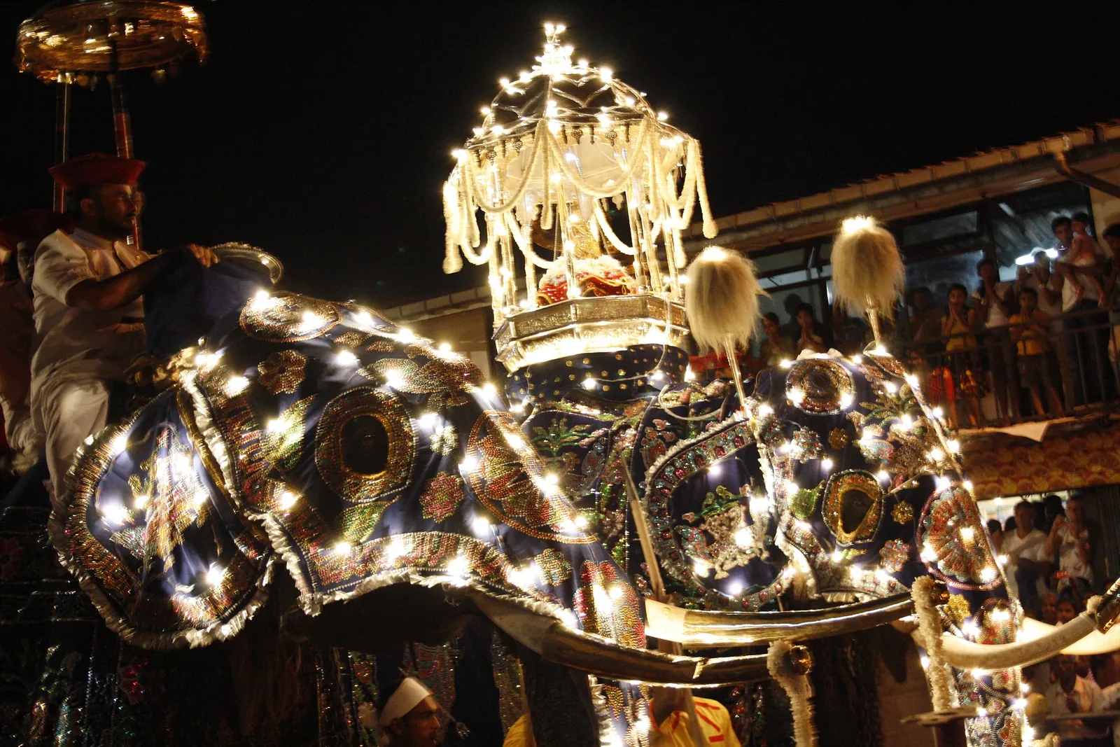 Elephants in the Kandy Esala Perahera procession
