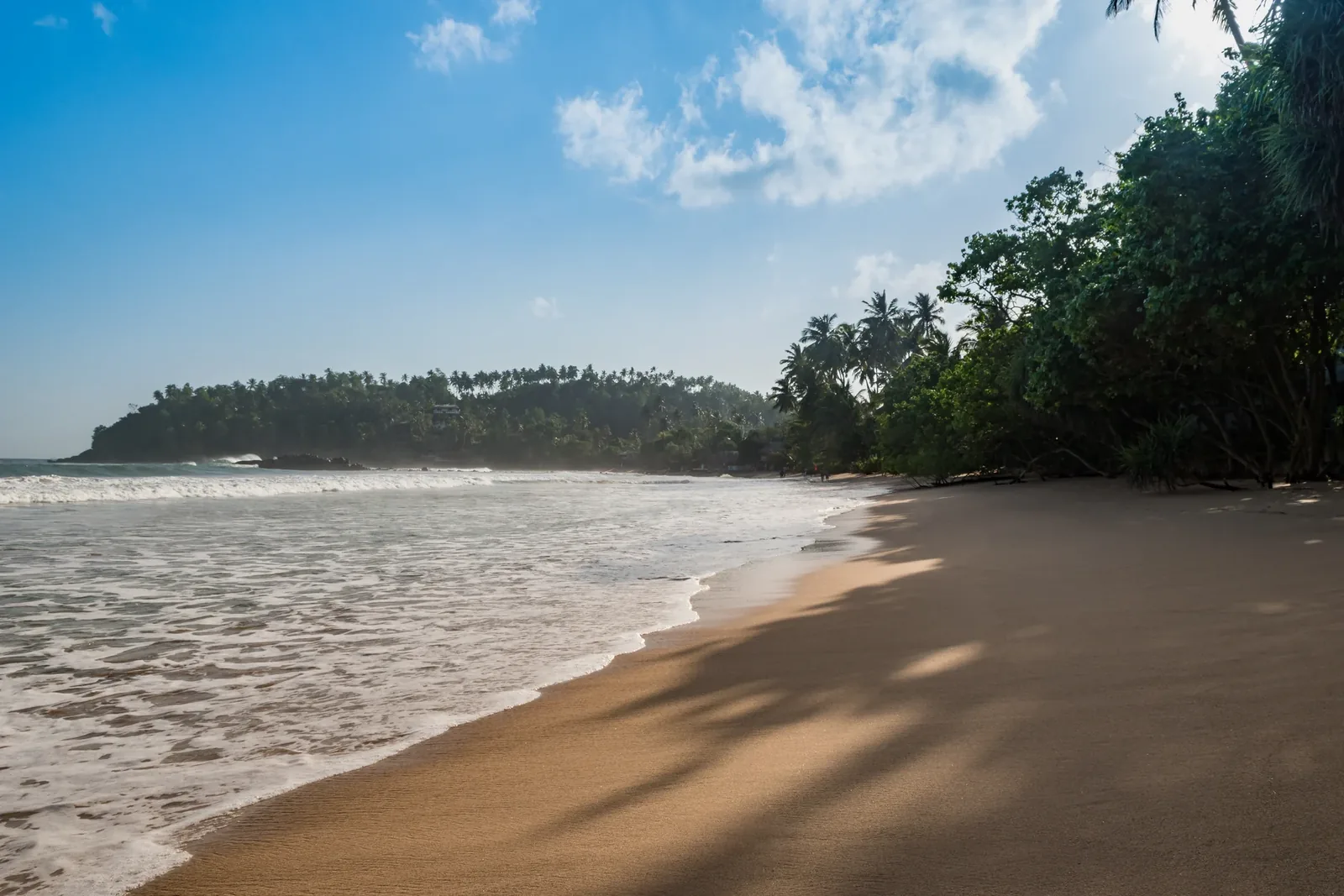 Palm-lined beach and blue ocean at Mirissa