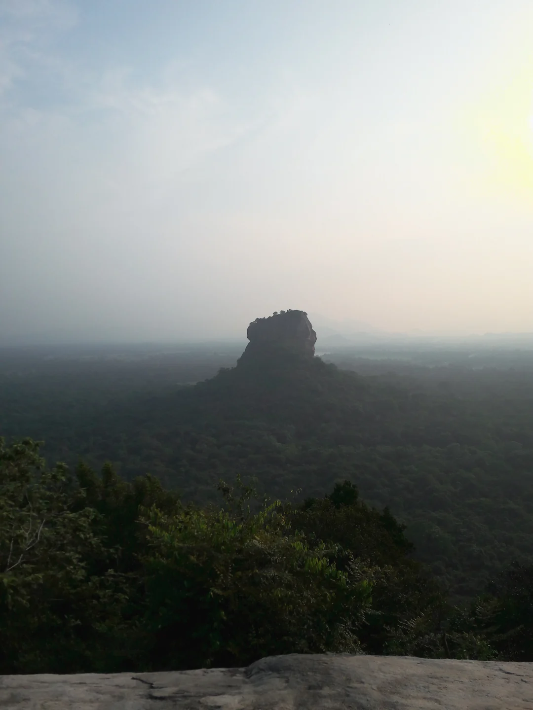 Sigiriya Rock Fortress surrounded by green forest